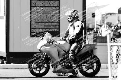 media/Feb-12-2022-SoCal Trackdays (Sat) [[3b21b94a56]]/Around the Pits/